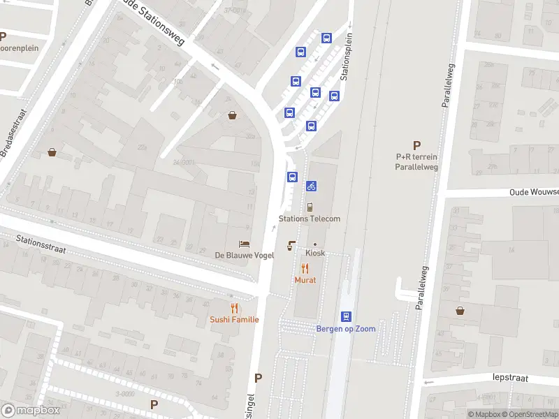 Politie met normale urgentie naar de Stationsplein in Bergen op Zoom