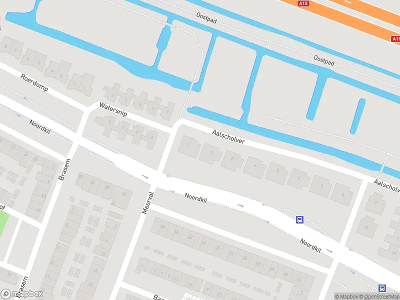 Ambulance met grote spoed naar de Aalscholver in Papendrecht