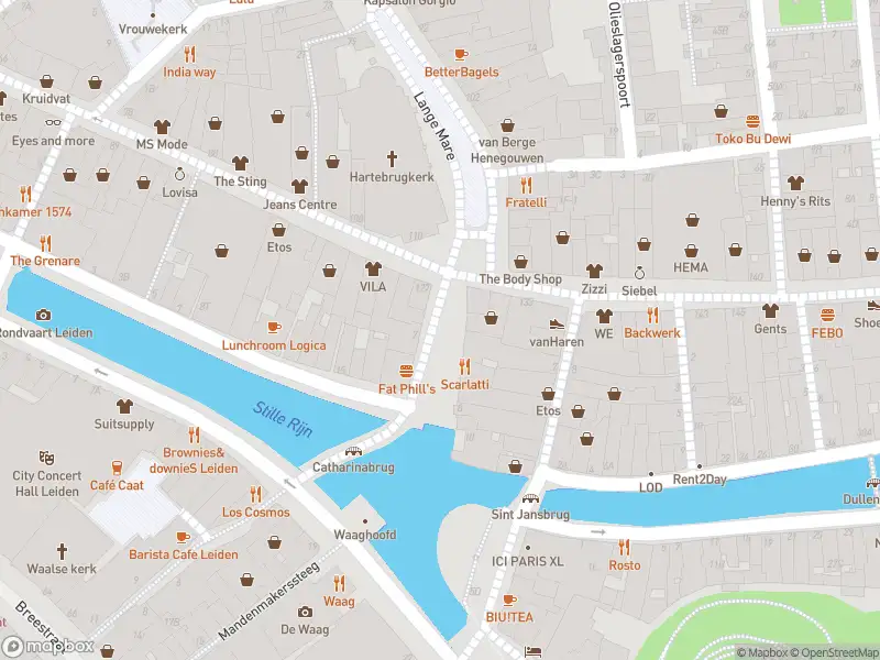 Ambulance met grote spoed naar de Stille Mare in Leiden