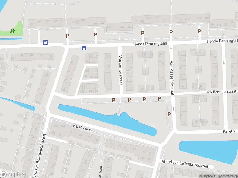Overlastmelding Van Lumeijstraat in Gorinchem