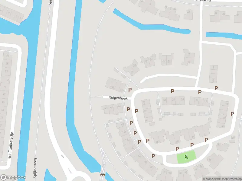 Ambulance met gepaste spoed naar de Ruigenhoek in Gorinchem