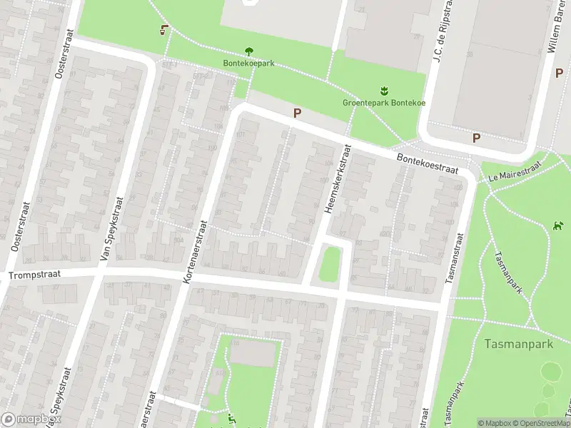 Brandweer met gepaste spoed naar de Evertsenstraat in Leiden