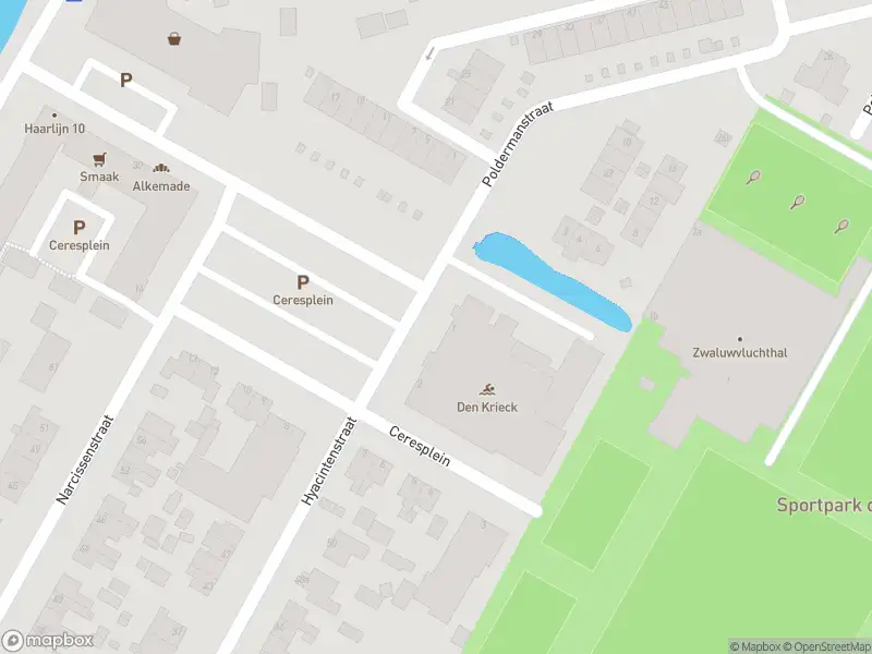 Ambulance met gepaste spoed naar de Ceresplein in Breezand