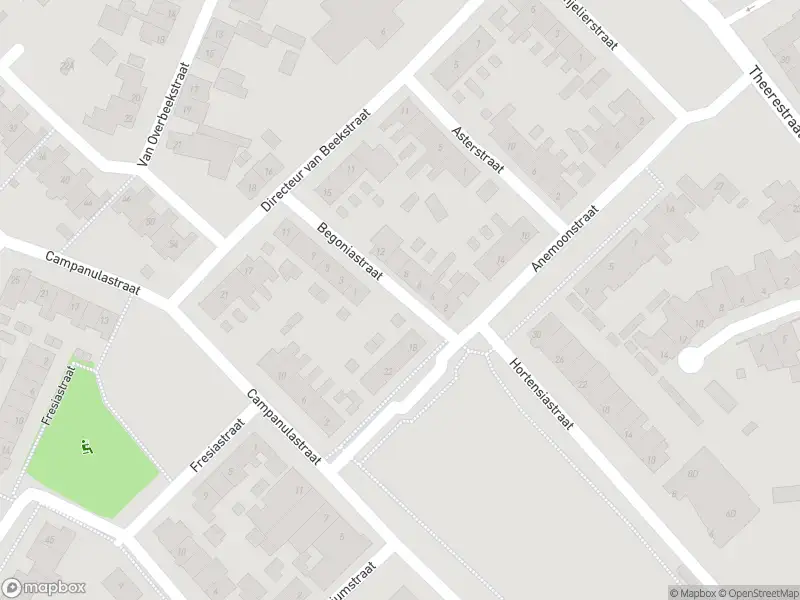 Overlastmelding Begoniastraat in Sint-Michielsgestel