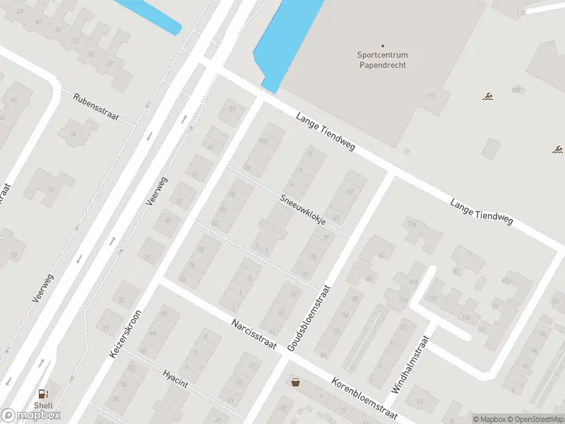 Ambulance met grote spoed naar de Sneeuwklokje in Papendrecht