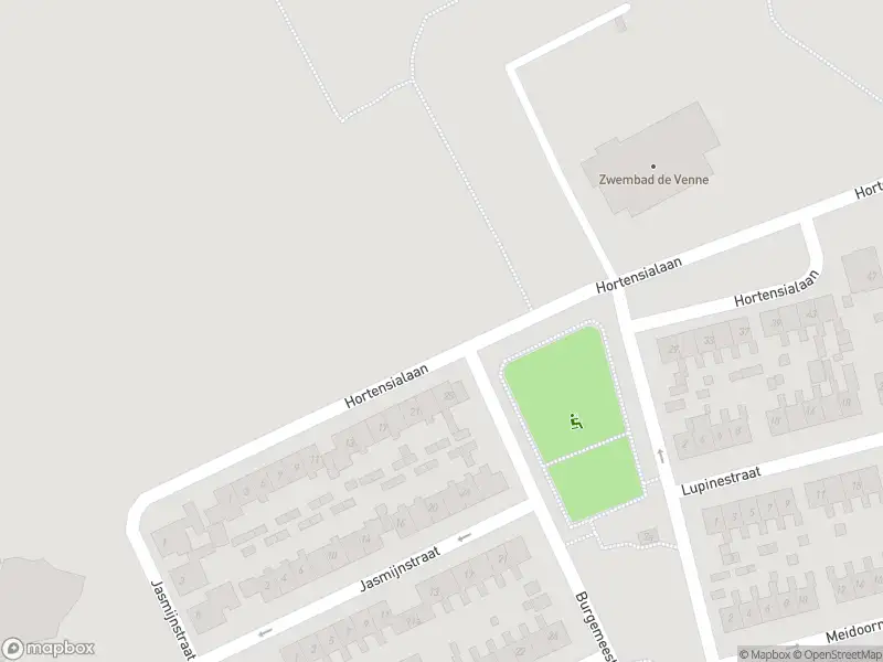 Overlastmelding Hortensialaan in Hippolytushoef