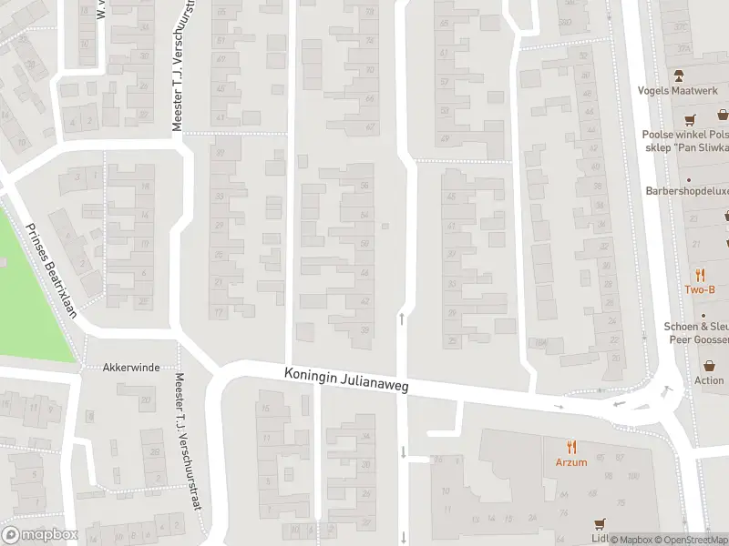 Overlastmelding Meester C. Goselingstraat in Best gesloten