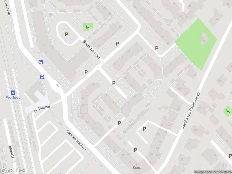 Overlastmelding Brahmsstraat in Voorhout