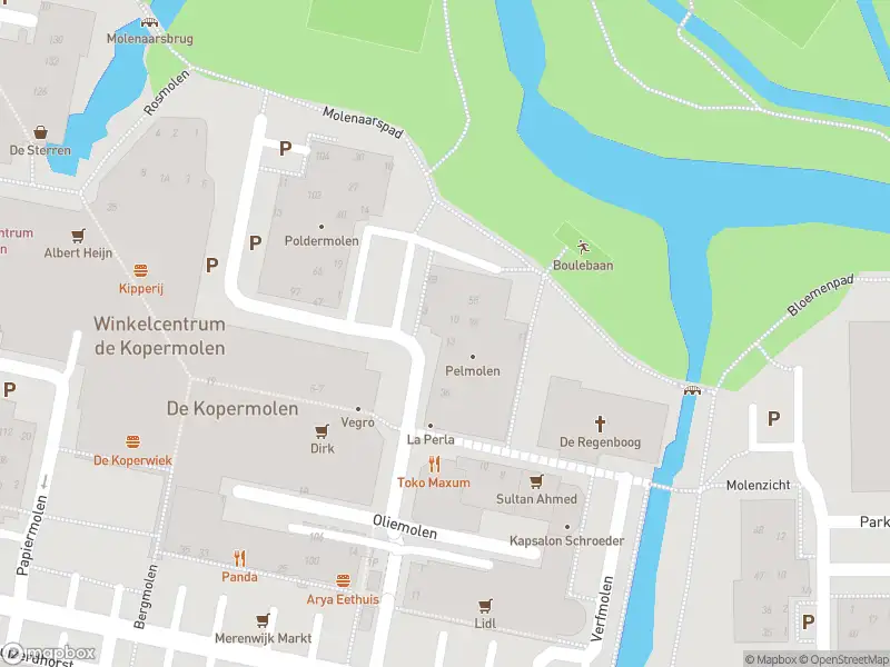 Brandweer met gepaste spoed naar de Poldermolen in Leiden