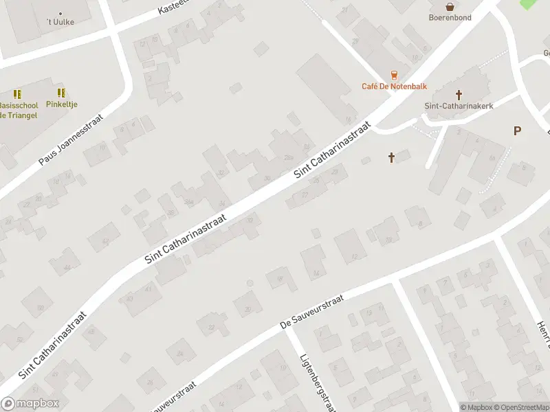 Brandweer en politie met grote spoed naar de Genzon in Ulestraten