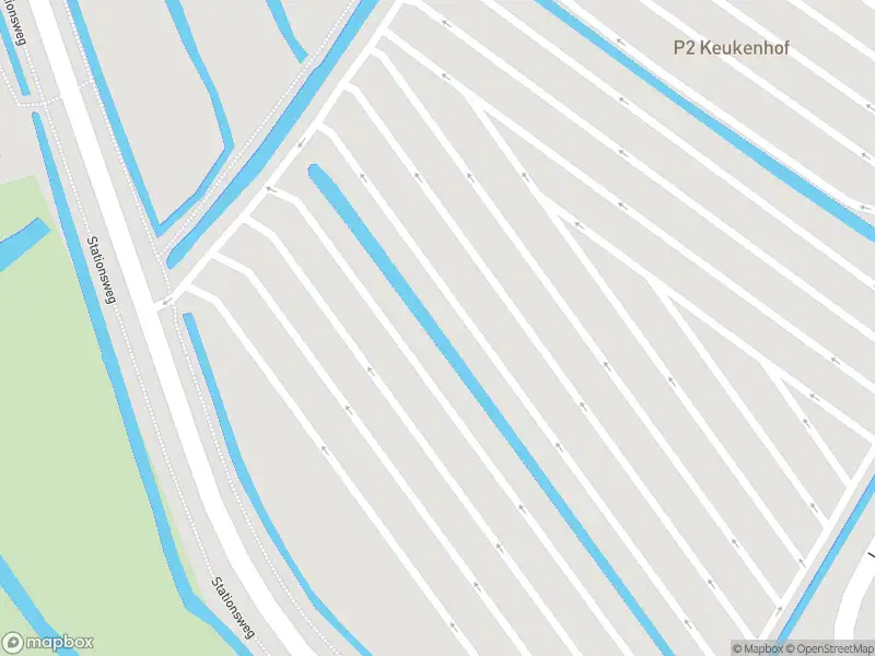 Overlastmelding Stationsweg in Lisse (South Holland) gesloten