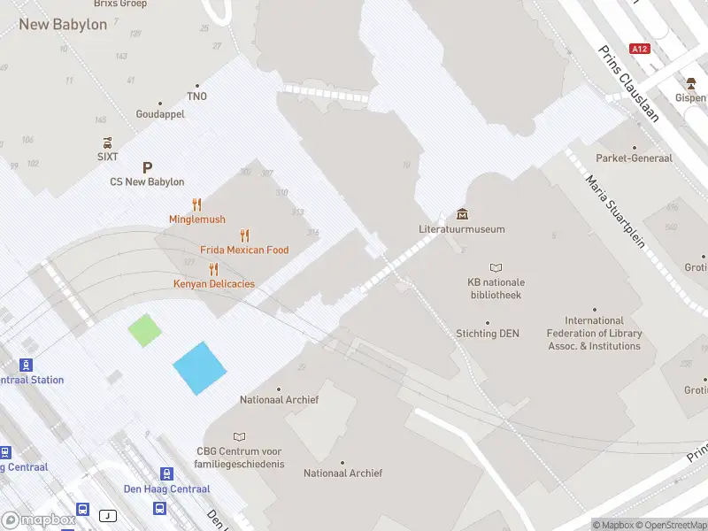 Ambulance met grote spoed naar de Prins Willem-Alexanderhof in 's-Gravenhage