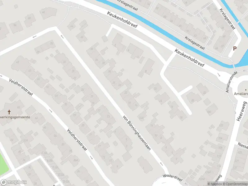 Anonieme overlastmelding Von Bönninghausenlaan in Lisse (South Holland) gesloten