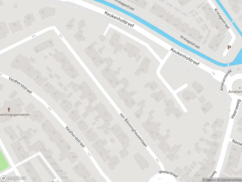 Anonieme overlastmelding Von Bönninghausenlaan in Lisse (South Holland) gesloten