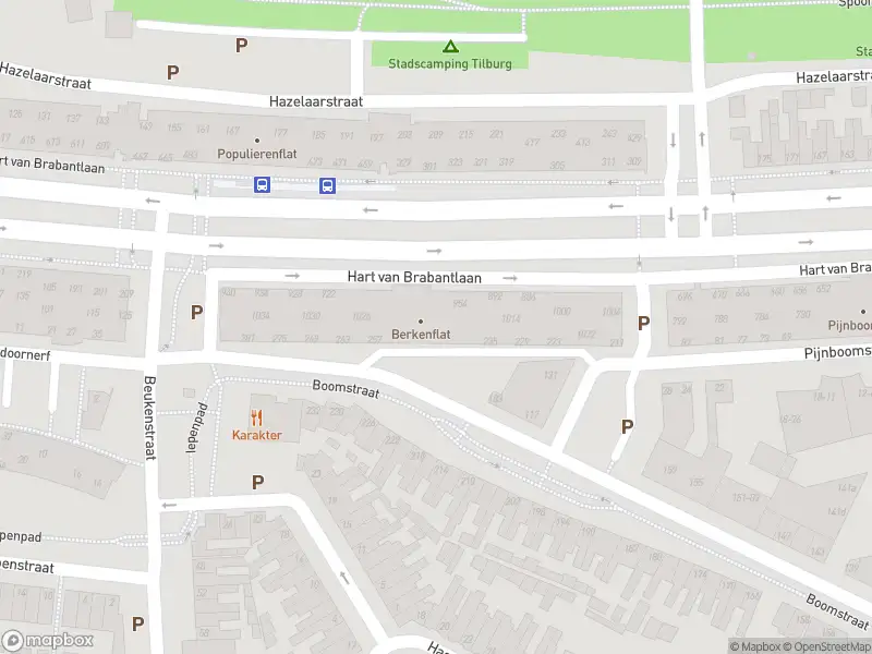 Anonieme overlastmelding Hart van Brabantlaan in Tilburg