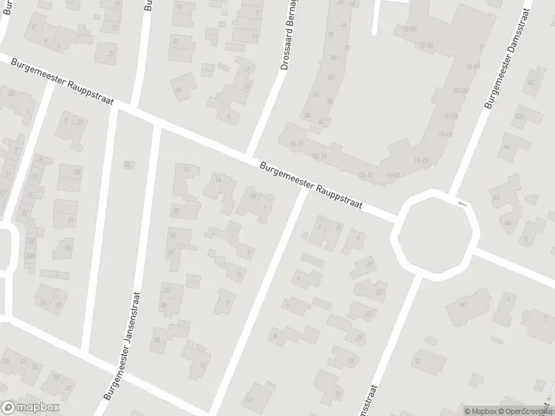 Overlastmelding Burgemeester Rauppstraat in Tilburg