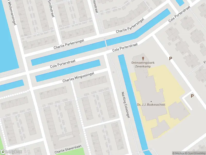 Ambulance met grote spoed naar de Charles Mingussingel in Rotterdam