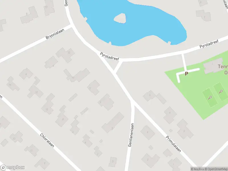 Ambulance met grote spoed naar de Gentianenlaan in Oostvoorne
