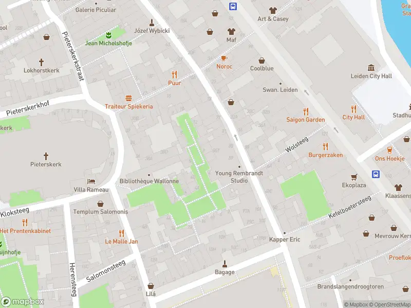 Ambulance met grote spoed naar de Pelgrimspoort in Leiden