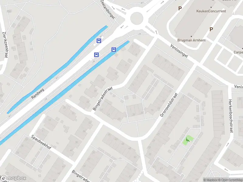 Overlastmelding Bingelradestraat in Arnhem (Bingelradepark)