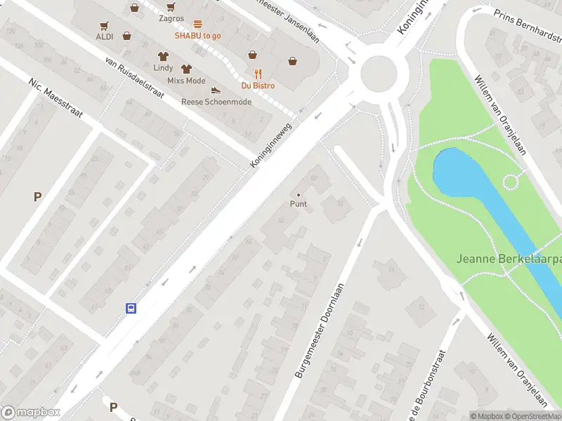 Overlastmelding Koninginneweg in Zwijndrecht