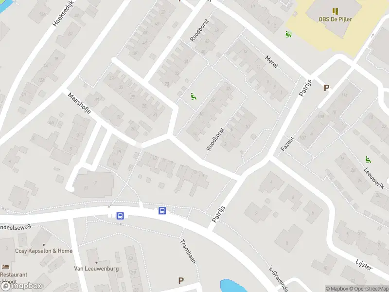 112 melding Overlastmelding Roodborst in Maasdam gesloten