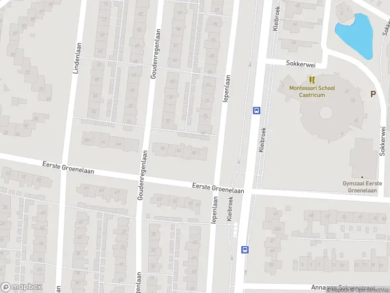 Overlastmelding Eerste Groenelaan in Castricum