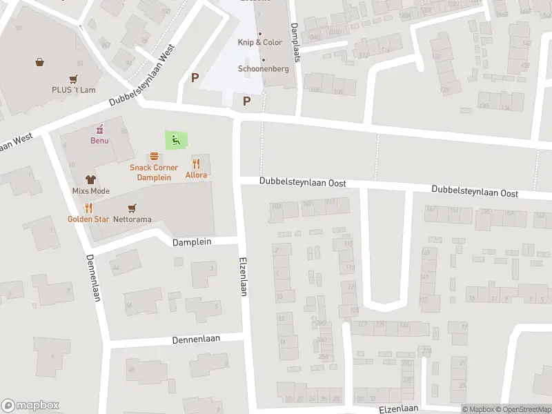 Overlastmelding Dubbelsteynlaan Oost in Dordrecht