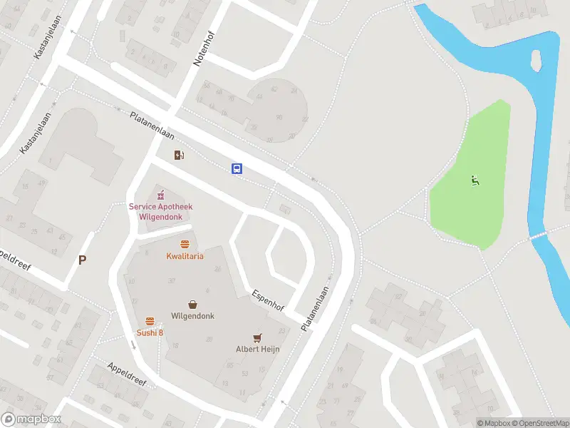 112 melding Ambulance met gepaste spoed naar de Platanenlaan in Papendrecht