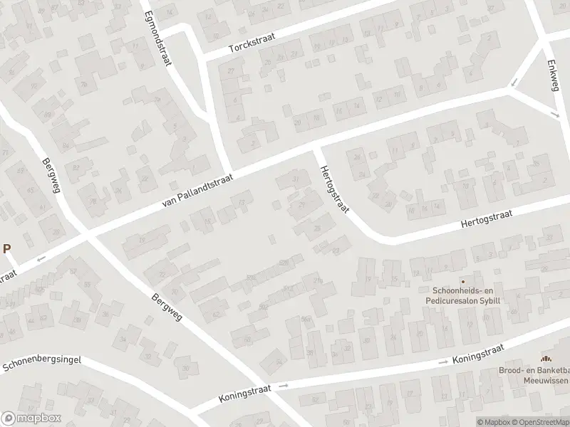 112 melding Overlastmelding Van Pallandtstraat in Velp