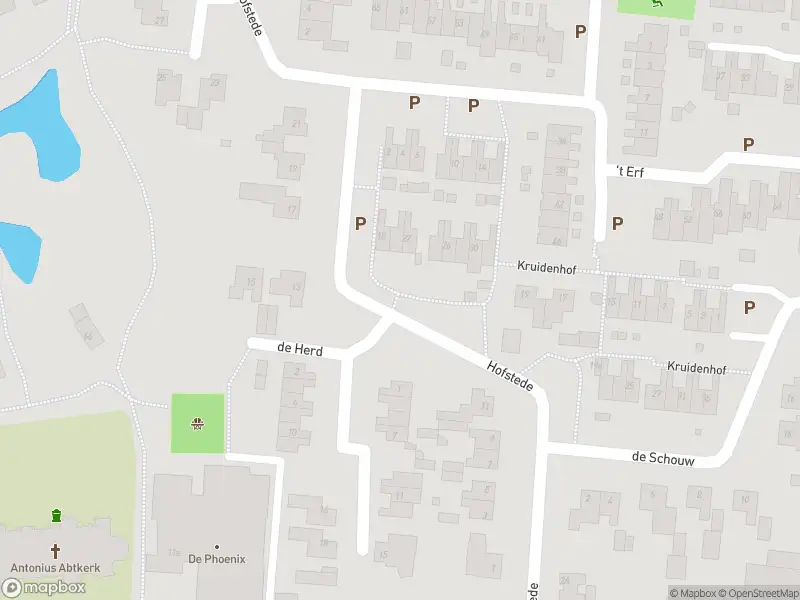 Traumahelikopter met grote spoed naar de Hofstede in Schaijk