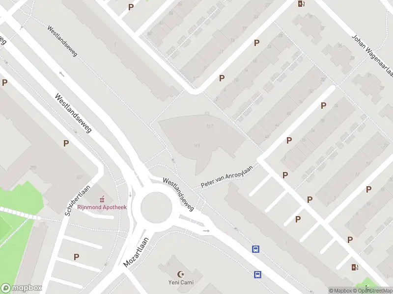 112 melding Ambulance met gepaste spoed naar de Peter van Anrooylaan in Maassluis