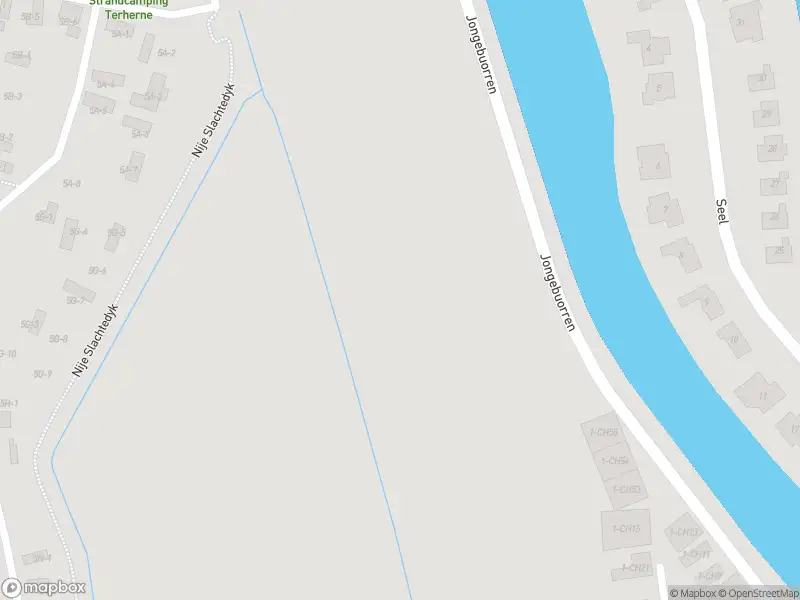 Politie met gepaste spoed naar de Jongebuorren in Terherne