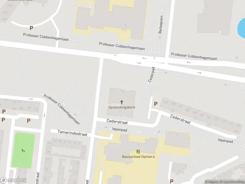 Anonieme overlastmelding Professor Cobbenhagenlaan in Tilburg