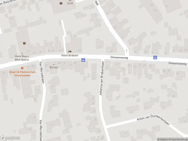 Overlastmelding Johanna van Brabantlaan in Hilvarenbeek