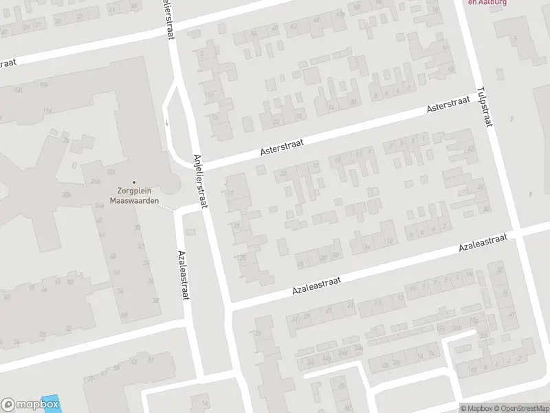 112 melding Overlastmelding Azaleastraat in Wijk en Aalburg