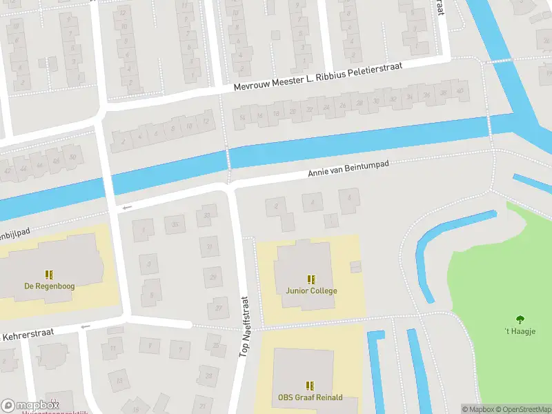 Overlastmelding Annie van Beintumpad in Gorinchem