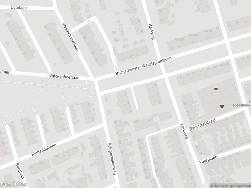 112 melding Anonieme overlastmelding Burgemeester Weertsplantsoen in Santpoort-Noord