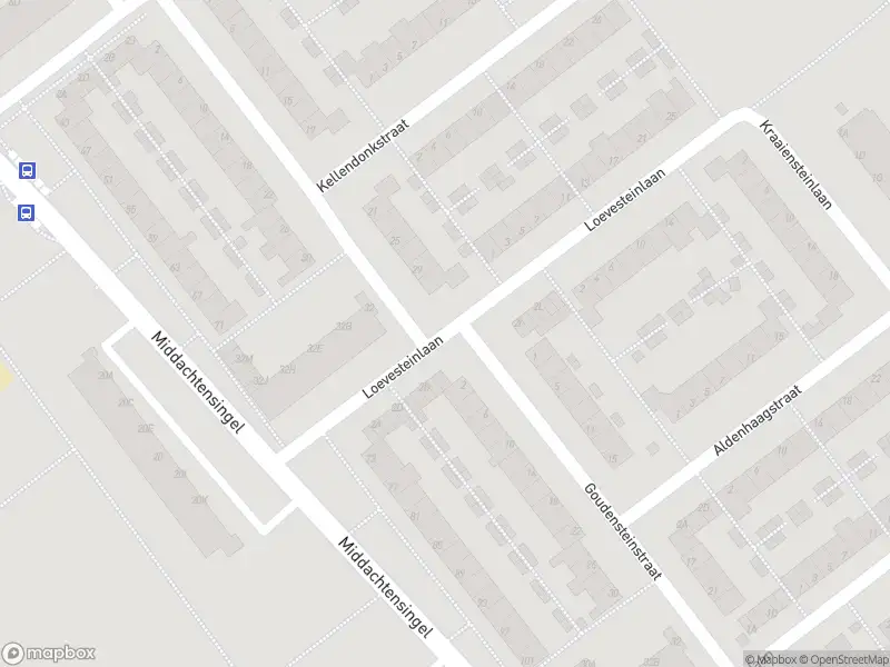 Overlastmelding Loevesteinlaan in Arnhem