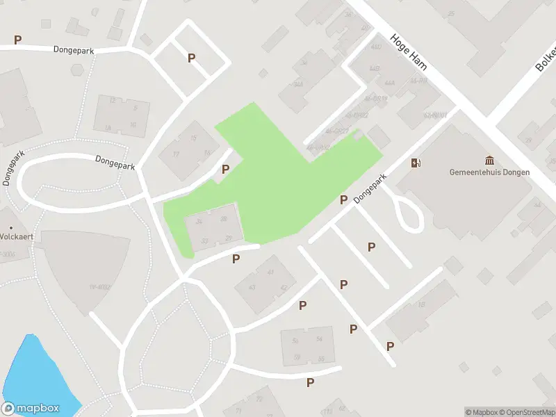 Brandweer met grote spoed naar de Dongepark in Dongen