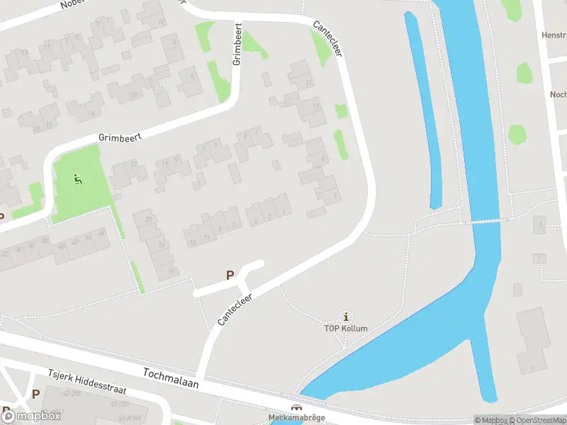 Brandweer met gepaste spoed naar de Tibeert in Kollum vanwege dier(en) in nood