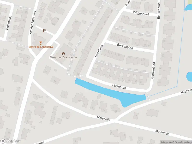 Overlastmelding Elzenblad in Oostvoorne