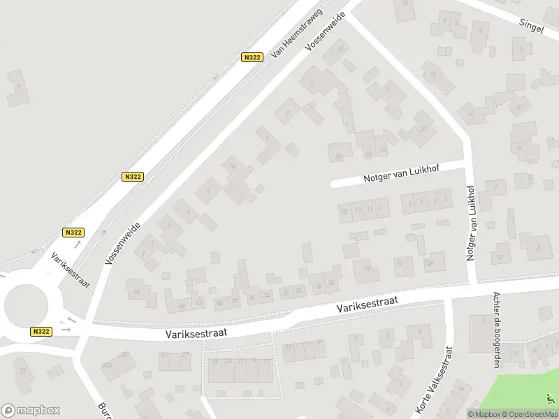 Brandweer met gepaste spoed naar de Van Heemstraweg in Heerewaarden