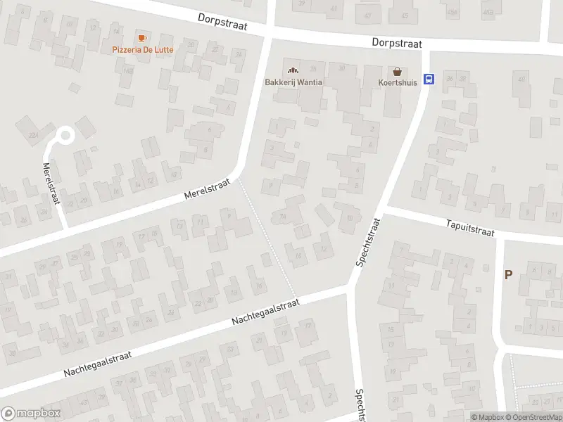 Politie naar de Oldenzaalsestraat in De Lutte vanwege aanrijding met letsel