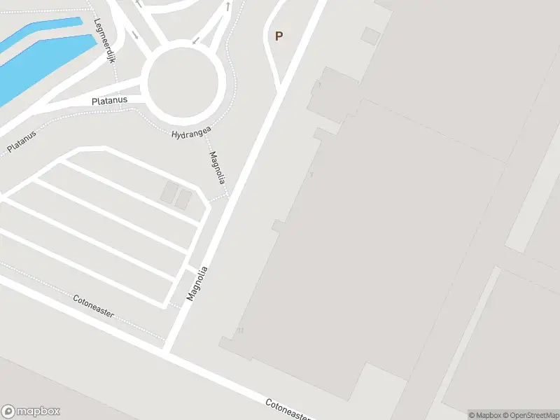 Brandweer met gepaste spoed naar de Magnolia in De Kwakel