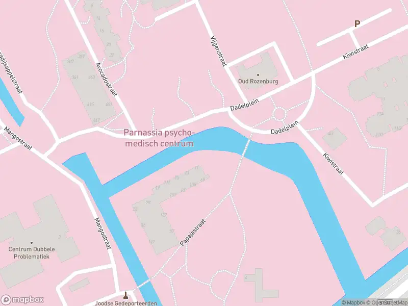 Ambulance met grote spoed naar de Papajastraat in 's-Gravenhage