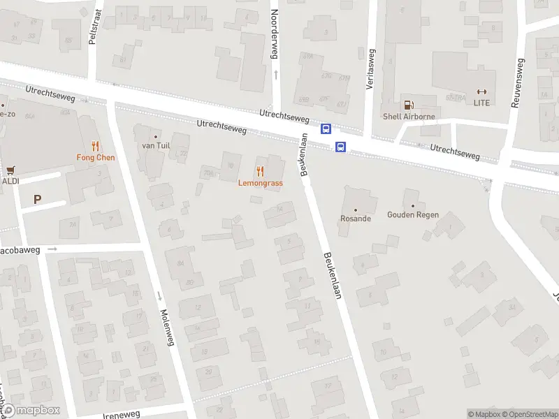 Overlastmelding Beukenlaan in Oosterbeek