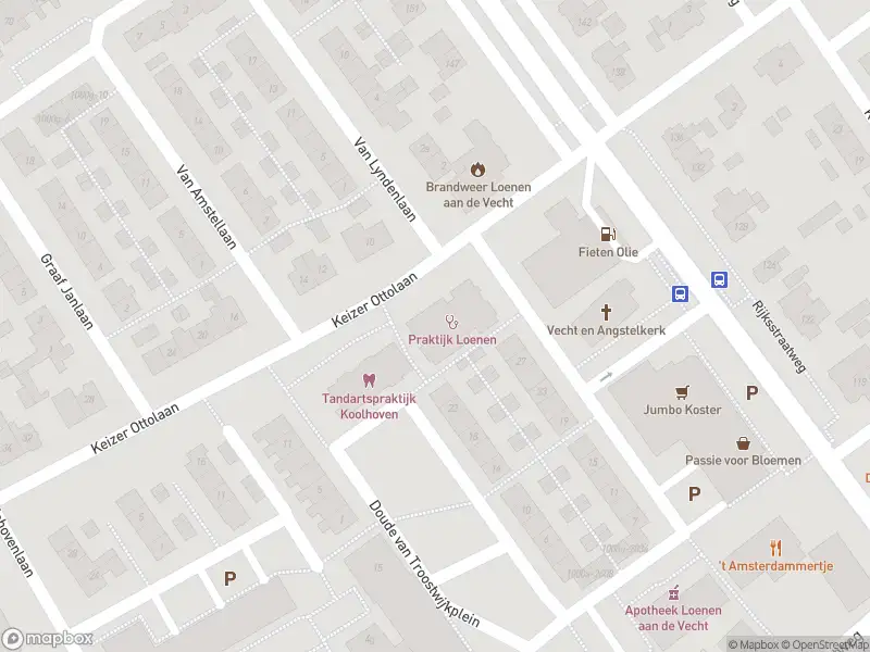 Brandweer met grote spoed naar de Keizer Ottolaan in Loenen aan de Vecht vanwege reanimatie