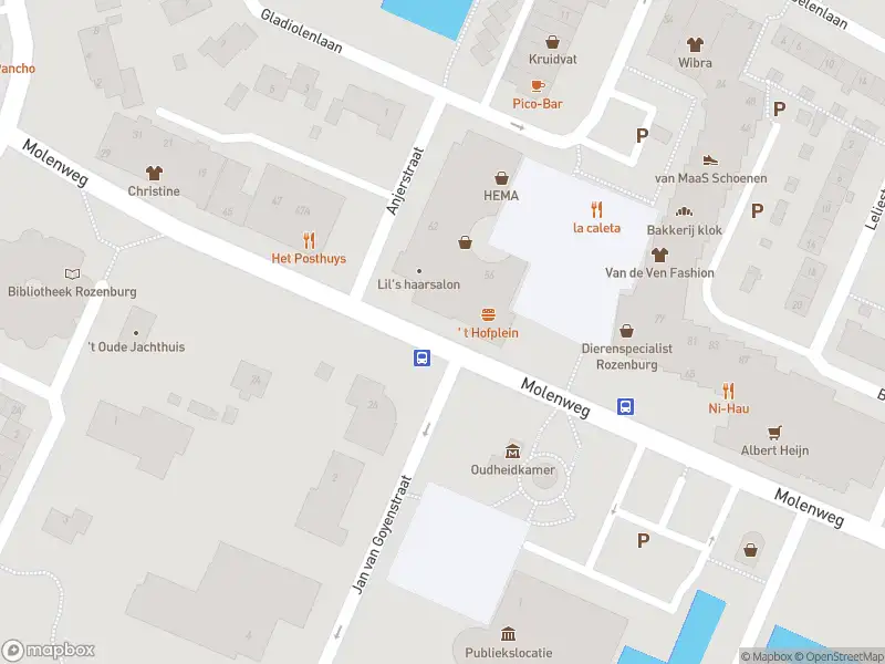 Ambulance met gepaste spoed naar de Molenweg in Rozenburg