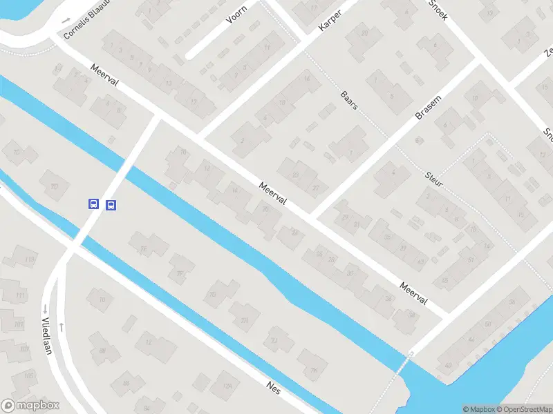 Overlastmelding Meerval in Schagen gesloten